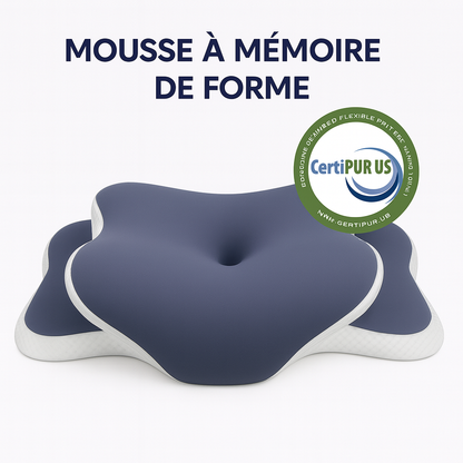 Oreiller à mémoire de forme Alynea