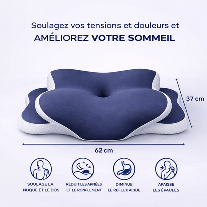 Oreiller à mémoire de forme Alynea